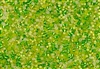 11/0 Toho Japanese Seed Beads - Lime Green Citrus Mix #CM30