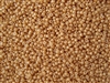 15/0 Toho Japanese Seed Beads - Butterscotch Opaque Luster #123D