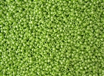 15/0 Toho Japanese Seed Beads - Light Green Opaque Luster #131