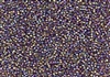 15/0 Toho Japanese Seed Beads - Dark Amethyst Transparent Rainbow #166C