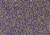 15/0 Toho Japanese Seed Beads - Dark Amethyst Transparent Rainbow Matte #166CF