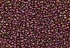 15/0 Toho Japanese Seed Beads - Raspberry Gold Luster #331
