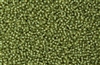15/0 Toho Japanese Seed Beads - Light Green Lined Light Topaz #945