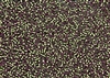 15/0 Toho Japanese Seed Beads - Raspberry Lined Olivine #2204