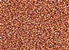 15/0 Toho Japanese Seed Beads - Semi Glazed Rainbow Orange #2641F