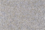 15/0 Toho Japanese Seed Beads - PermaFinish White Opal Silver Lined #PF2100