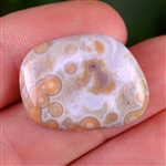 Old Stock Vein 2 or 3 - Ocean Jasper Designer Cabochon - 100% Natural - Marovato, Madagascar