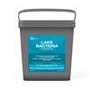 Aquascape Lake Bacteria Packs - 48 packs