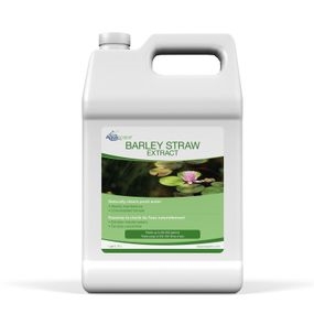 Aquascape Barley Straw Extract - 1 gal