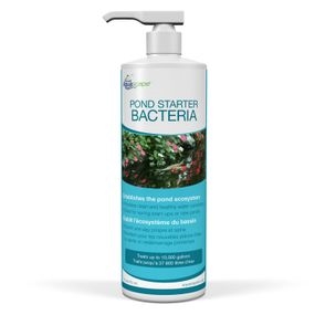 Aquascape Pond Starter Bacteria 16oz