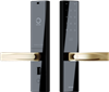 Cerradura inteligente WiFi Orvibo golden handle