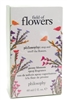 Philosophy FIELD OF FLOWERS Penny Blossom Eau de Toilette Spray   2 fl oz