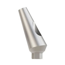 10X Angulated 25Âº Dental Implant Titanium Abutment Titanium Fits MIS AB Zimmer
