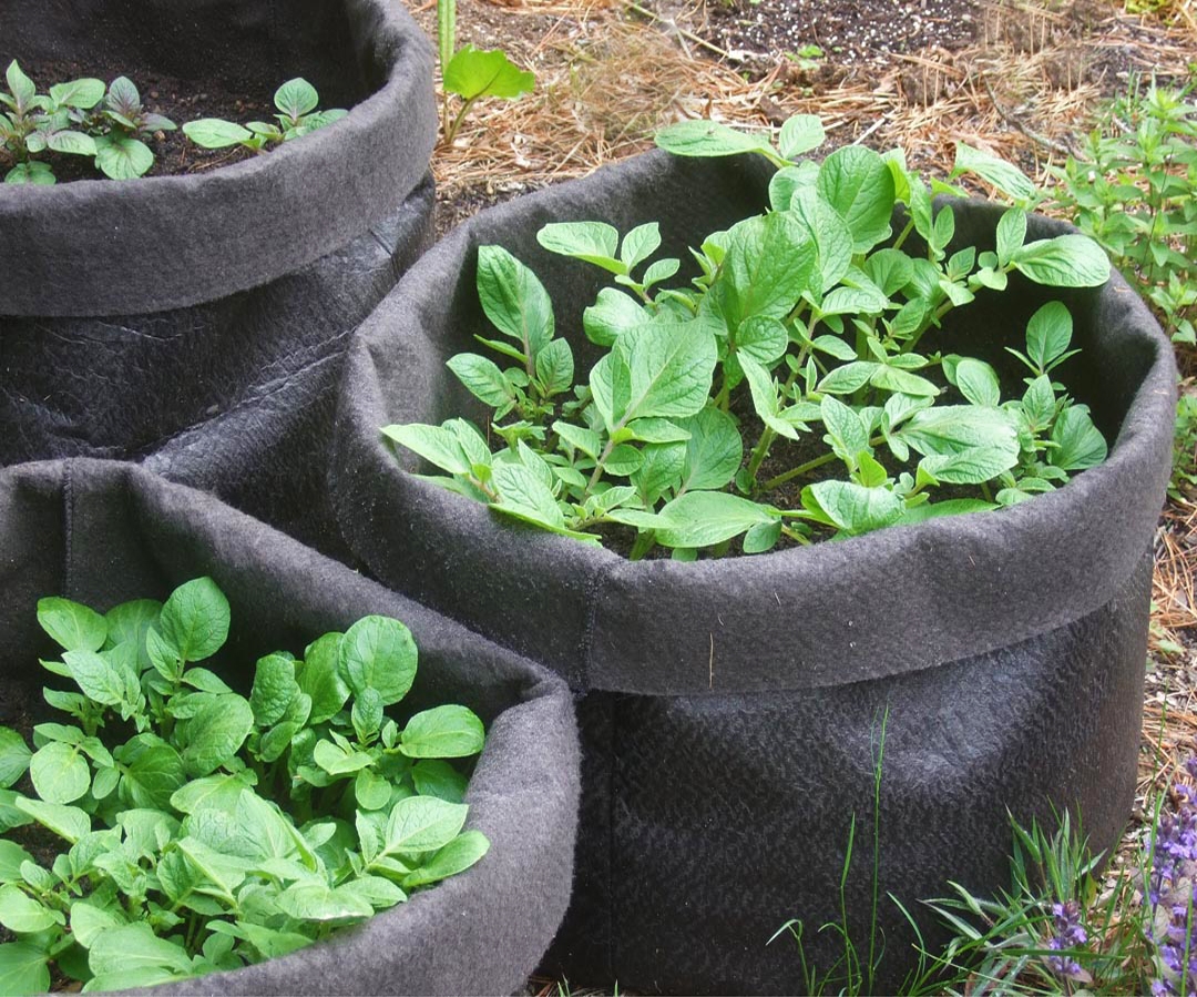 Smart Pots: 15 Gallon Poly Fabric Grow Bags