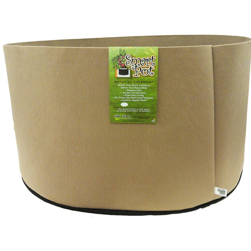 Are Fabric Pots (Grow Bags) Better than Plastic Pots?