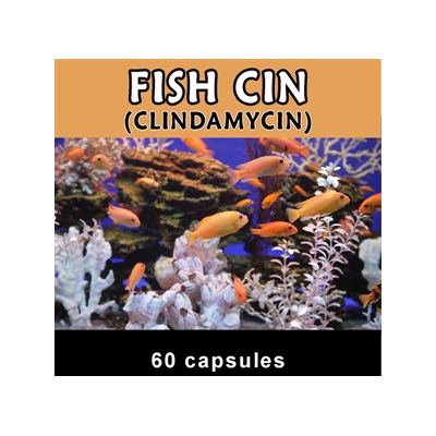 Fish Cin - Clindamycin 150mg