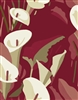 Elitis Flower Power TP 304 04.  Ruby red calla lily floral large print wallpaper.  Click for details and checkout >>