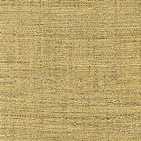 Elitis Madagascar VP 602 02.  Golden honey hand woven texture vinyl wallpaper.  Click for details and checkout >>