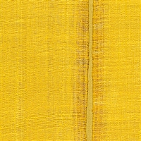 Elitis Nomades VP 895 21.  Sunflower yellow silk and linen weave vinyl wallpaper for a wall. Click for details and checkout >>