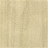 Elitis Bois Sculpte VP 937 21.   Dirty Blonde Oak embossed vinyl wallpaper with spiral wood aspect. Click for details and checkout >>