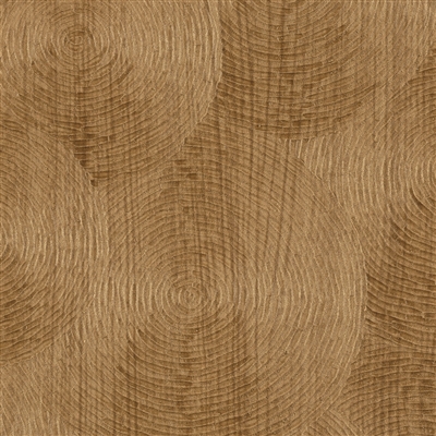 Elitis Bois Sculpte VP 937 30.   Hazel brown oak embossed vinyl wallpaper with spiral wood aspect. Click for details and checkout >>
