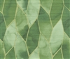 Elitis Soie Changeante VP 932 60.  Green botanical vinyl silk effect wallpaper for a wall. Click for details and checkout >>