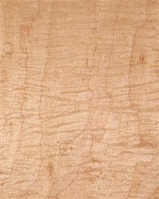 Maple Curly Wood Veneer Wallpaper.  Click for details and checkout >>