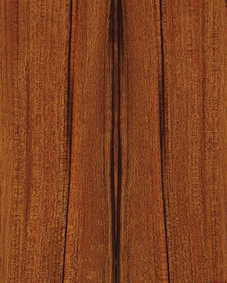 Paldao Quarter Sawn Wood Wallpaper.  Click for details and checkout >>