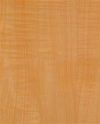 Sycamore Wood Veneer Wallpaper.  Click for details and checkout >>