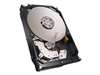SEAGATE ST2000VN001 NAS HDD 2TB 5900RPM SATA-6GBPS 64MB BUFFER 3.5INCH INTERNAL HARD DISK DRIVE WITH RESCUE DATA RECOVERY SERVICE. BULK. IN STOCK.