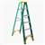 WERNER 5906 Step Ladder, 10 ft Max Reach H, 5-Step, 225 lb, Type II Duty Rating, 3 in D Step, Fiberglass, Green