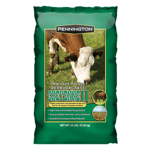 Cheyenne II Bermuda Grass Seed - 1 lbs