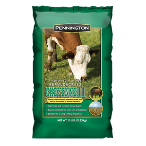 Cheyenne II Bermuda Grass Seed - 25 lbs