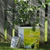 BGI Citrus 8-3-9 Plant Food - 2 lb