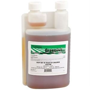 Grass Out Max (Clethodim Herbicide) - 1 Pint