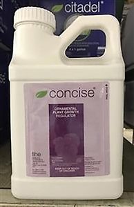 Concise Plant Growth Regulator - 1 Gallon