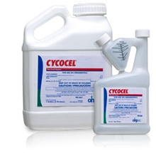 Cycocel Plant Growth Regulator - 1 Gallon