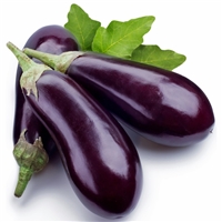 Eggplant Florida Market Seed Heirloom - 1 Packet