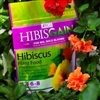 BGI Hibiscus 12-6-8  Plant Food - 2 lb