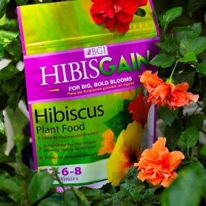 BGI Hibiscus 12-6-8  Plant Food - 2 lb