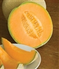 Cantaloupe Hales Best Seed - 1 Packet