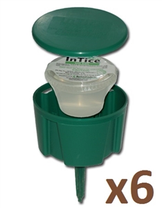 InTice Gelanimo Ant Bait Gel Cups and Stations - 6 each
