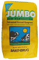 Jumbo Tetraploid Annual Ryegrass - 50 Lbs.