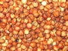 Milo Grain Sorghum Seed - 1 Lb.