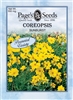 Coreopsis Sunburst Seed - 1 Packet