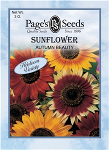 Sunflower Autumn Beauty - 1 Packet
