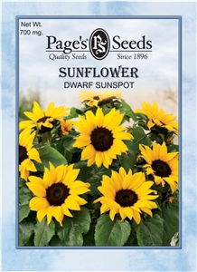 Sunflower Dwarf Sunspot Seed - 1 Packet