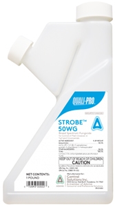 Strobe 50WG Fungicide Azoxystrobin - 1 Lb.