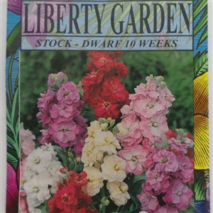 Stock Dwarf 10 Week Annual Flower Seeds - 1 Packet