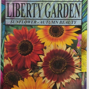 Sunflower - Autumn Beauty - 1 Packet